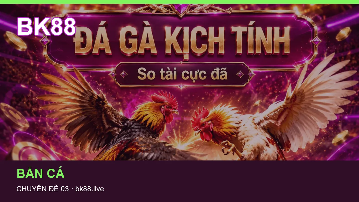 Bảo vệ dữ liệu cá nhân khi tìm hiểu Bắn cá tại BK88